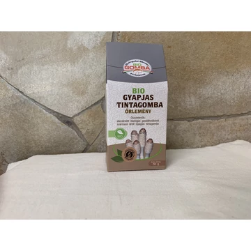 Gyöngyösi bio gyapjas tintagomba  őrlemény 50 g