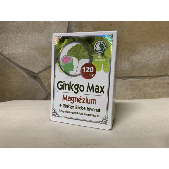 Dr Chen Ginkgo max 120 mg magnézium 60 db kapszula