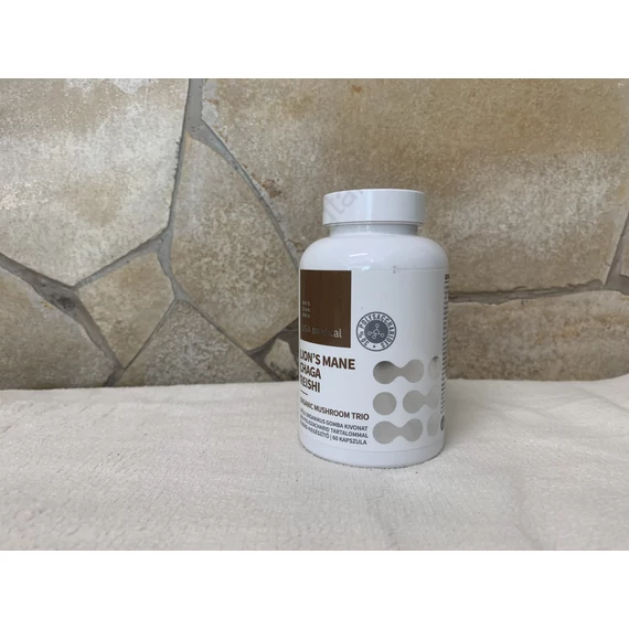 Usa Medical Lions mane  Chaga Reishi (süngomba pecsétviasz gomba hamvaskéreggomba ) 60 db 